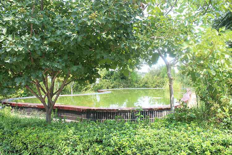 BOYU.COM-博鱼(中国)机械厂区环境优美